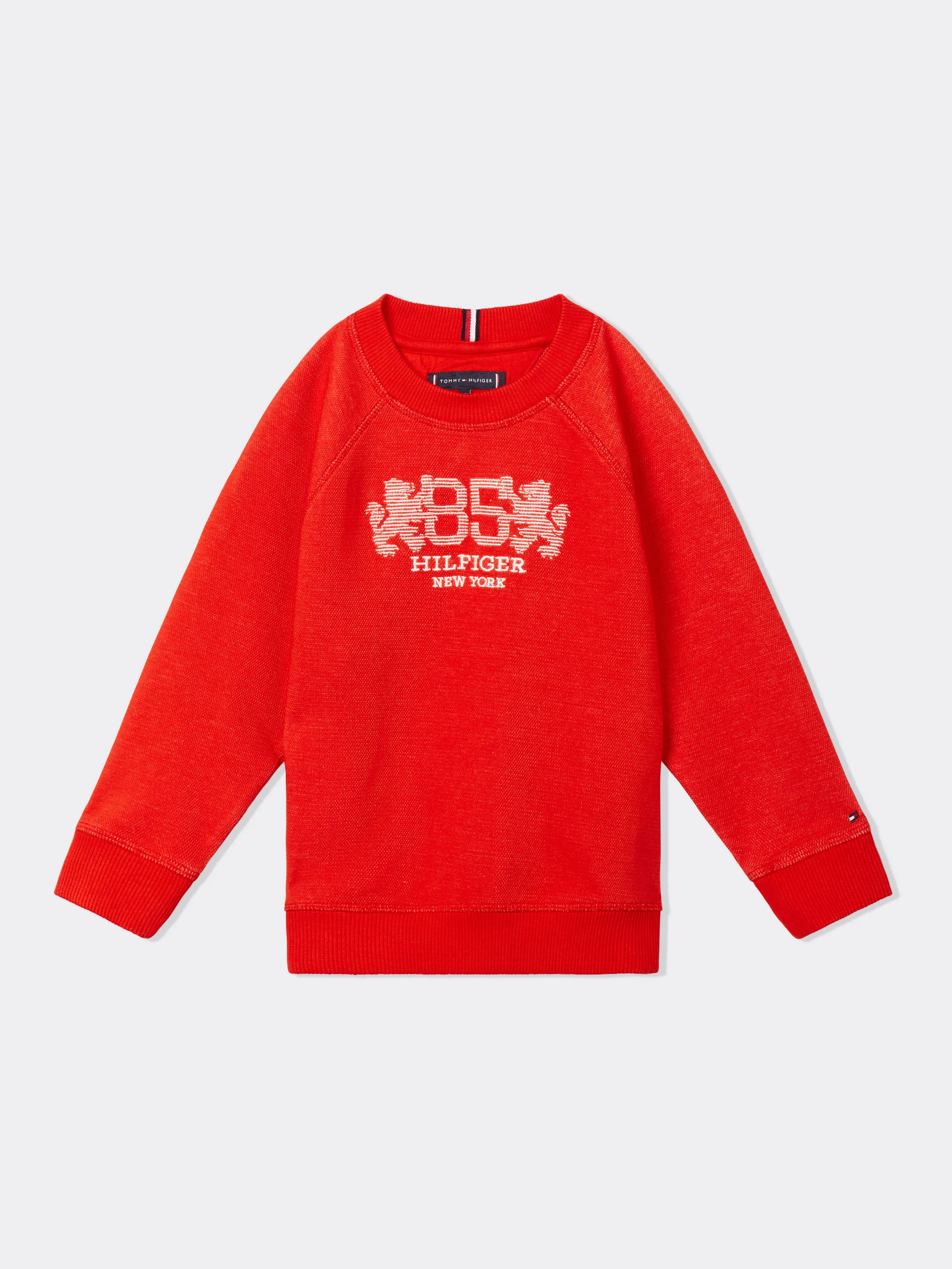 Boys 8-16 Heritage Logo Sweatshirt | Sweatshirts & Hoodies | Tommy Kids