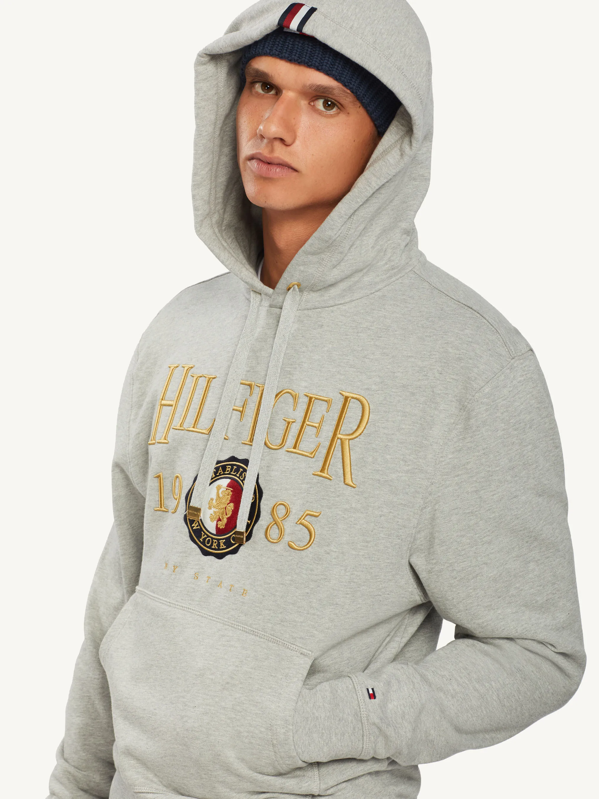 Icon Crest Hoodie | Sweatshirts & Hoodies | Tommy Hilfiger