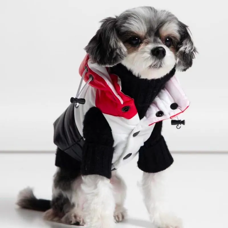 Premium Moncler Inspired Hooded Puffer Vest for Dogs | Petiboo